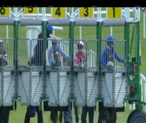 Video preview image for Killarney 17:55 - Irish Stallion Farms European Breeders Fund Fillies Handicap