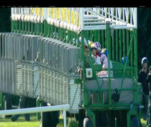 Video preview image for Killarney 18:30 - International Hotel Handicap