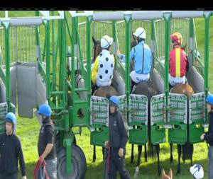 Video preview image for Killarney 18:55 - Killarney Avenue/Munster Joinery Handicap