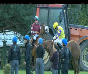 Video preview image for Killarney 19:25 - Mc Group Handicap