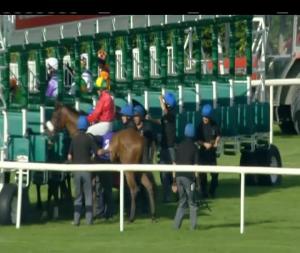 Video preview image for Leopardstown 18:25 - Pickerings Lifts Maiden