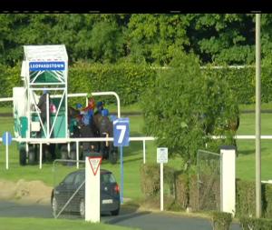 Video preview image for Leopardstown 19:25 - Riptide Movement Handicap 