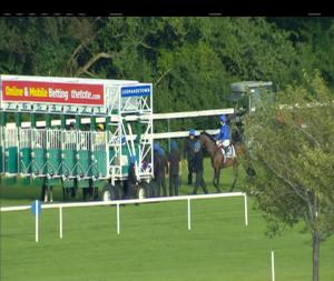 Video preview image for Leopardstown 20:00 - Icon Meld Stakes (Group 3)