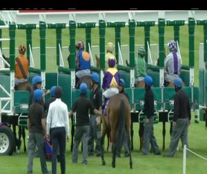 Video preview image for Leopardstown 20:30 - Leopardstown Summer Pass Handicap