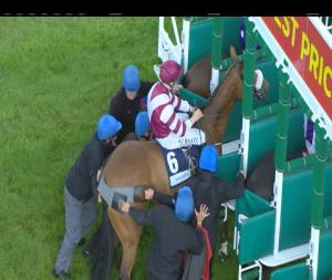 Video preview image for Leopardstown 21:00 - Manguard Plus Handicap 