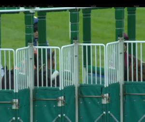 Video preview image for Leopardstown 21:00 - Sorec Morocco Handicap