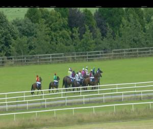 Video preview image for Limerick 14:35 - Book Online At www.limerickracies.ie Mares Maiden Hurdle