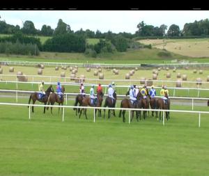 Video preview image for Limerick 15:45 - Irish Stallion Farms European Breeders Fund Handicap Hurdle 