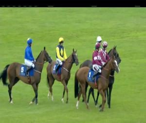 Video preview image for Limerick 16:20 - Limerick Gaa Chase