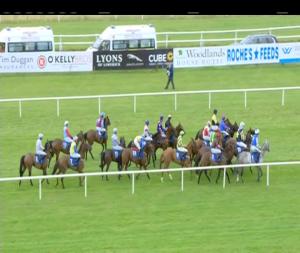 Video preview image for Limerick 17:20 - Irish Stallion Farms European Breeders Fund Mares I.N.H. Flat