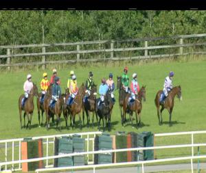 Video preview image for Limerick 18:00 - Irish Stallion Farms European Breeders Fund Fillies I.N.H. Flat