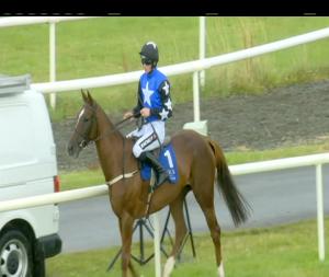 Video preview image for Limerick 18:05 - Follow Limerick Racecourse On Twitter Mares Novice Hurdle