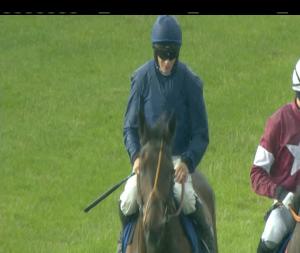 Video preview image for Limerick 19:10 - Clare Gaa Rated Novice Chase