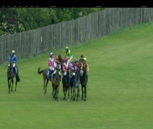 Video preview image for Limerick 19:40 - Limerick's Live 95Fm Mares Beginners Chase