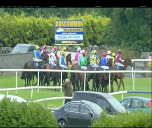 Video preview image for Roscommon 17:55 - Athleague Mares Maiden Hurdle