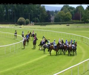 Video preview image for Tipperary 15:05 - Adare Manor Opportunity Handicap Hurdle