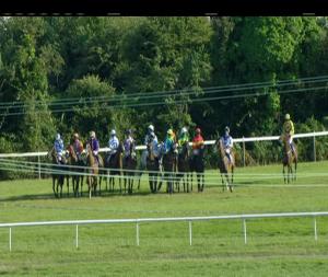 Video preview image for Wexford 18:35 - Ocean Harvest Technology Handicap Hurdle 