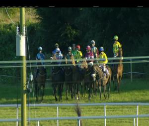 Video preview image for Wexford 20:05 - Opel 172 Handicap Chase 