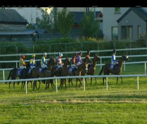 Video preview image for Wexford 20:35 - Irish Stallion Farms European Breeders Fund Mares I.N.H. Flat
