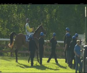 Video preview image for Ballinrobe 19:50 - vaughanshoes.ie Ladies Day Today Handicap (45-70)