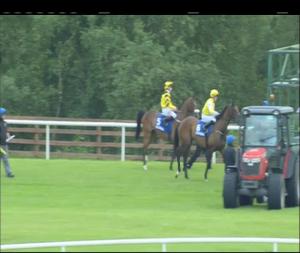 Video preview image for Ballinrobe 20:55 - Brendan McNulty Memorial Maiden