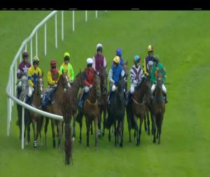 Video preview image for Clonmel 19:30 - John Kennedy Motors (Toyota) Clonmel Beginners Chase