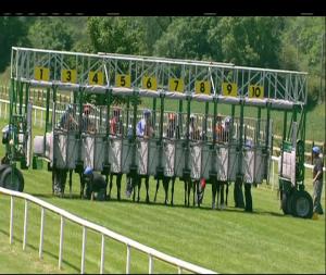 Video preview image for Cork 13:50 - Irish Stallion Farms EBF Fillies Maiden (Plus 10)