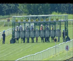 Video preview image for Cork 14:20 - Irish Stallion Farms EBF Fillies Handicap
