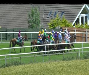 Video preview image for Downpatrick 14:00 - Balloo Maiden Hurdle