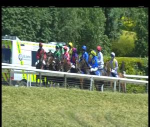 Video preview image for Downpatrick 14:35 - Irish Stallion Farms EBF Mares Maiden Hurdle