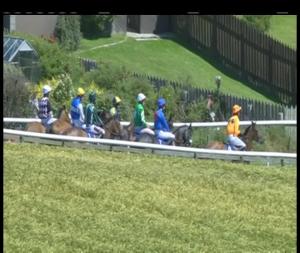 Video preview image for Downpatrick 15:05 - Molson Coors Handicap Hurdle (80-109)