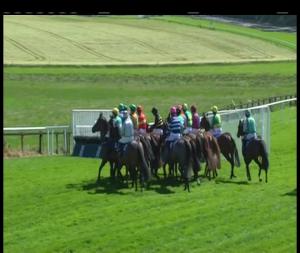 Video preview image for Downpatrick 15:35 - Balloo Vets Handicap Hurdle (80-95)