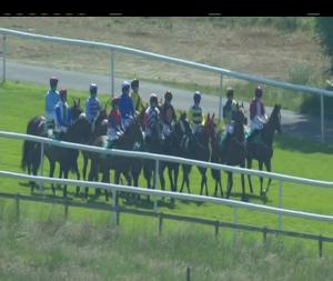 Video preview image for Downpatrick 15:40 - Molson Coors Handicap Hurdle