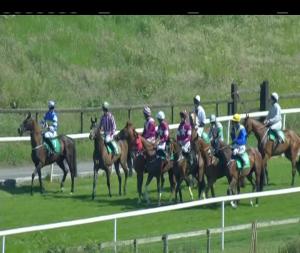 Video preview image for Downpatrick 16:15 - Time To Get Ready For Style Sunday Rated Novice Hurdle