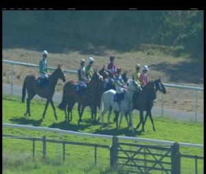 Video preview image for Downpatrick 16:35 - Style Sunday Spectacular Handicap Chase