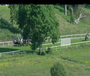 Video preview image for Downpatrick 17:25 - Irish Stallion Farms EBF Mares Flat Race