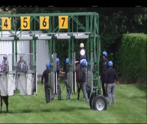 Video preview image for Down Royal 14:00 - Rainbow Communications Maiden 