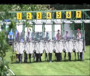 Video preview image for Down Royal 14:35 - Louis Roederer Handicap 