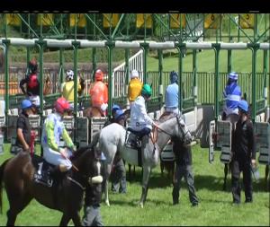 Video preview image for Down Royal 15:10 - Value Cabs Handicap 