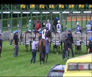 Video preview image for Down Royal 16:15 - Coolmore Stud Irish European Breeders Fund Ulster Oaks Fillies Handicap
