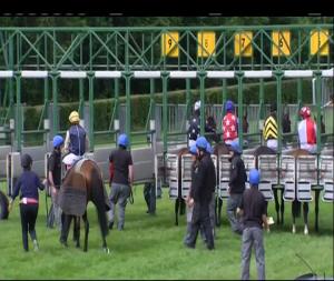 Video preview image for Down Royal 16:45 - Down Royal Handicap 