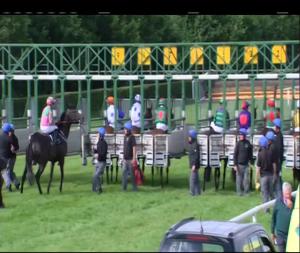 Video preview image for Down Royal 17:15 - Irish Stallion Farms European Breeders Fund Median Auction Maiden 