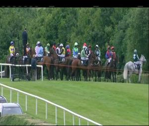 Video preview image for Down Royal 19:20 - Sean Graham Bookmakers Handicap Hurdle