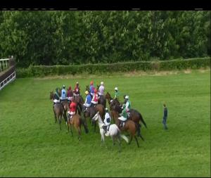 Video preview image for Down Royal 19:55 - Daily Mirror Mares Beginners Chase