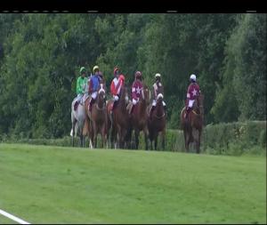 Video preview image for Down Royal 20:30 - thetote.com Galway Plate Trial Handicap Chase 