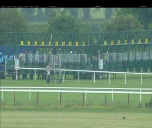 Video preview image for Fairyhouse 17:45 - Foran Equine Irish EBF Auction Maiden (Plus 10)