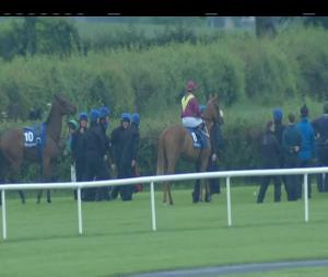 Video preview image for Fairyhouse 20:45 - Fairyhouse Special Offers Fillies Maiden