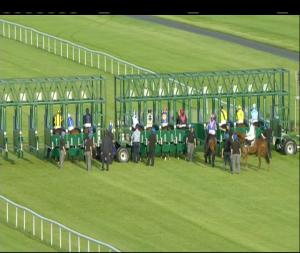 Video preview image for Fairyhouse 20:20 - Friday Night Racing At Fairyhouse Handicap