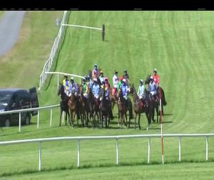 Video preview image for Gowran Park 15:25 - Affedia Maiden Hurdle