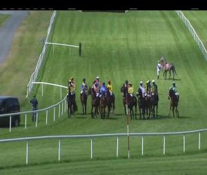 Video preview image for Gowran Park 15:55 - Whitfield Orthopaedic & Sports Injury Clinic Handicap Hurdle (80-102) (Div 1)